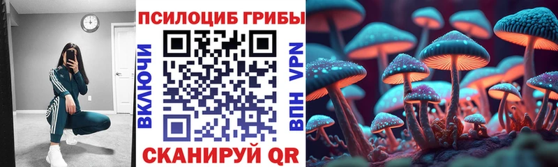 Галлюциногенные грибы ЛСД  Купить закладки  Олонец 